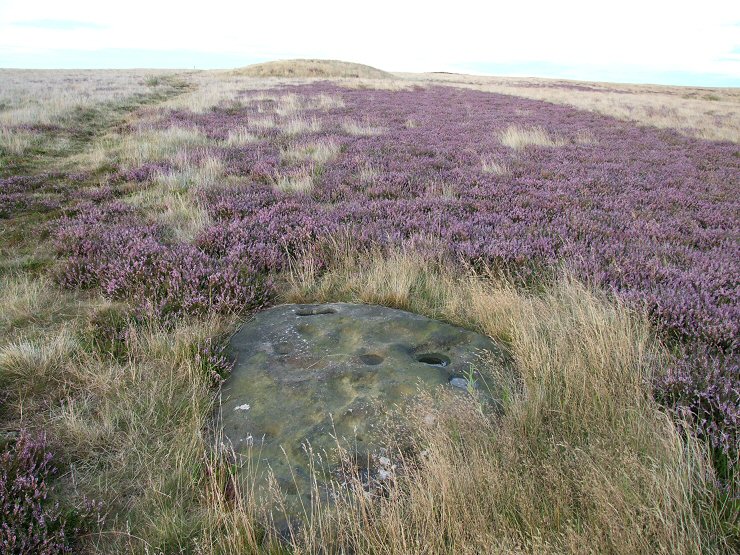 Brow Moor 'b' looking east