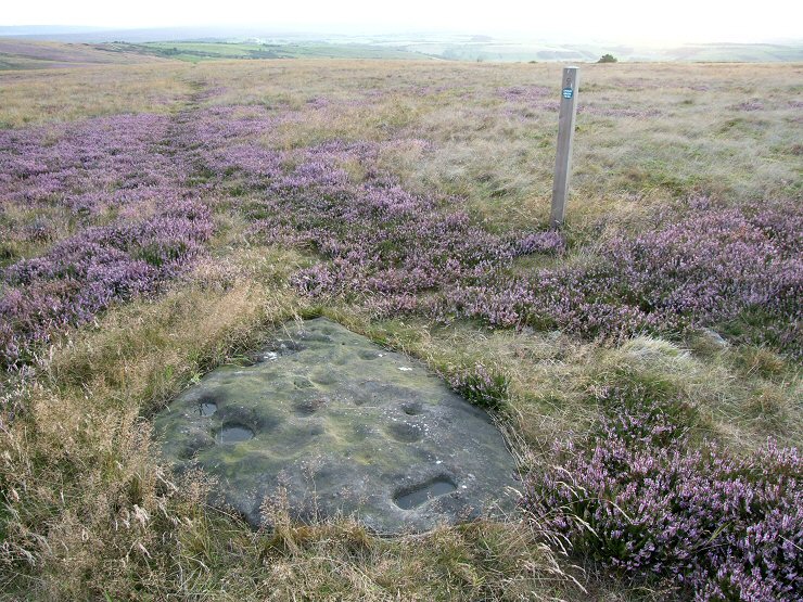 Brow Moor 'b' looking west