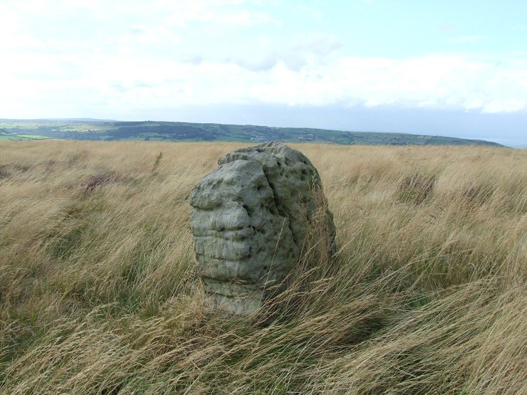 Cairn on Brow Moor