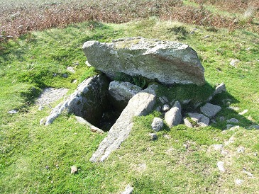 Drizzlecombe cist