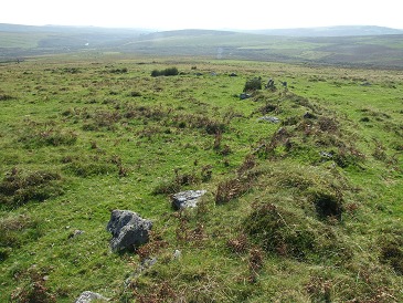 Earth and rubble bank of one of the enclosures