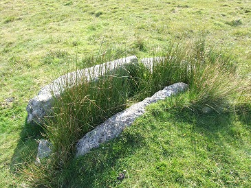Drizzlecombe possible cist