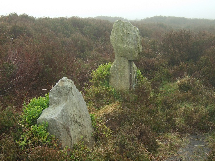The Old Wife's Neck standing stone