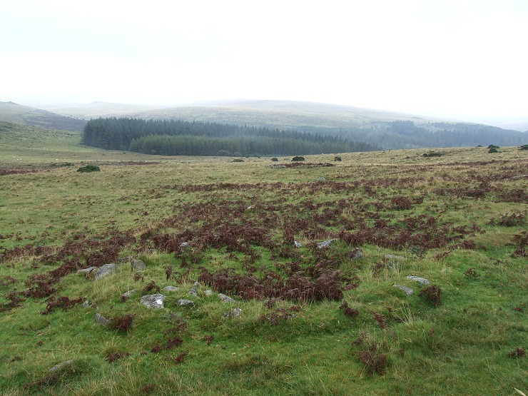 Hut circle on the northeast slope of Sharpitor