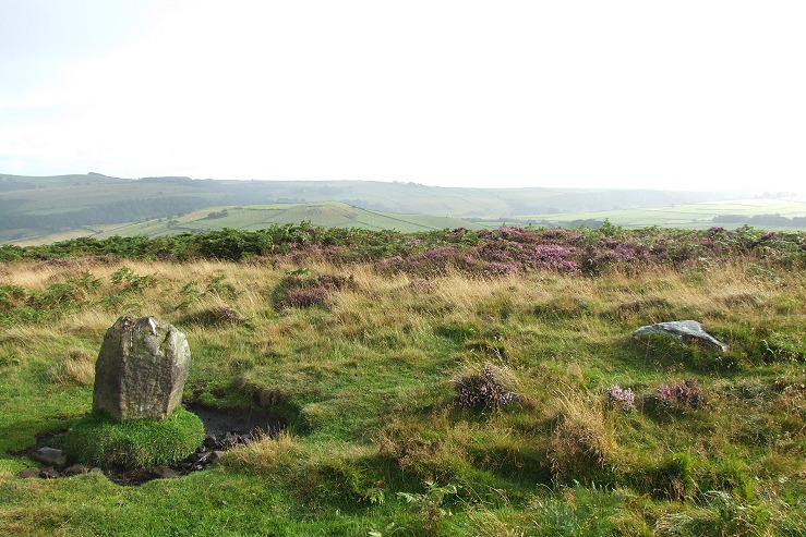 Smelting Hill stone circle - Looking south