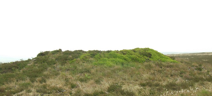Stony Marl Howes - barrow 1
