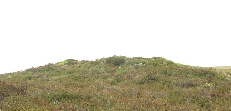 Stony Marl Howes - barrow 2