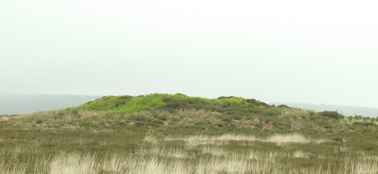 Stony Marl Howes - barrow 3
