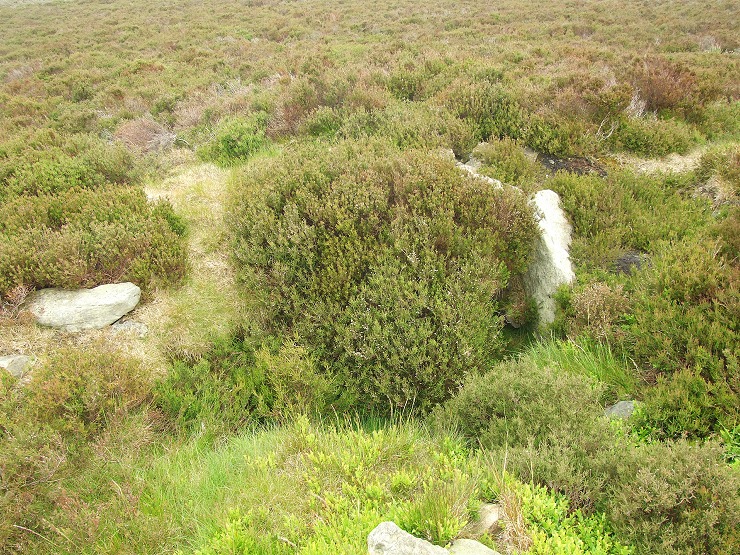 Stony Marl Howes - cist in barrow 1