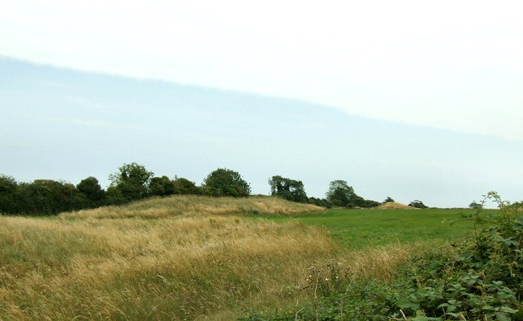 Thickthorn Down Long Barrow at ST97031238