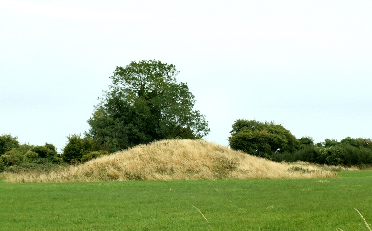 Thickthorn Down Long Barrow at ST97191225