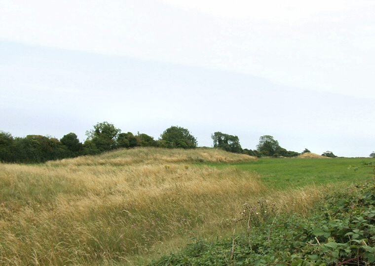 Thickthorn Down Long Barrow at ST97031238