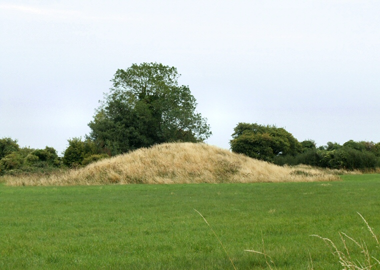 Thickthorn Down Long Barrow at ST97191225
