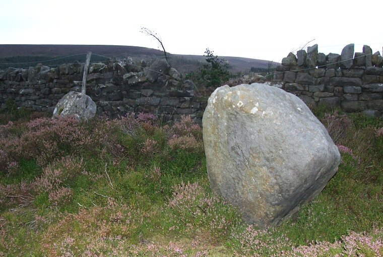 Thimbleby Moor Nine Stones  - the southern stones