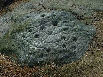 Tree Of Life Rock - close-up of the carvings