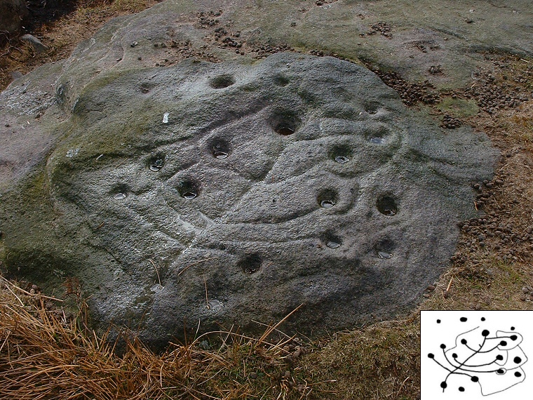 Tree Of Life Rock - close-up of the carvings