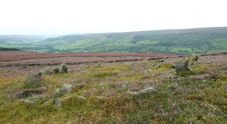 Tripsdale Bride Stones looking southwest