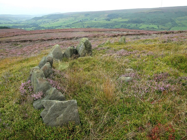 Tripsdale Bride Stones - southern arc of stones