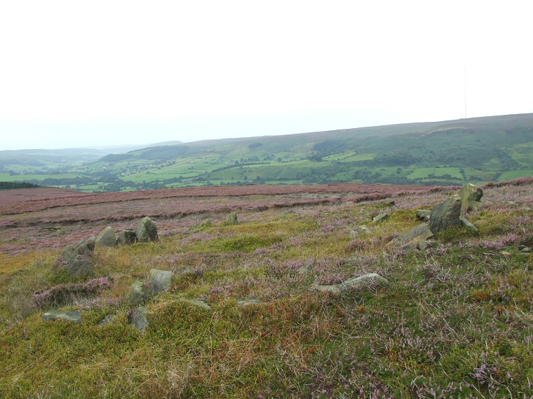 Tripsdale Bride Stones looking southwest