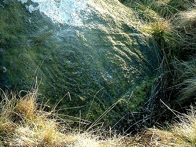 Carved Stone PRAWR 252