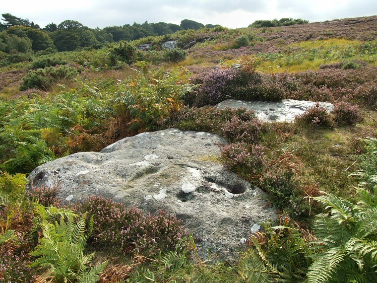 Weetwood Moor 1b & 1a