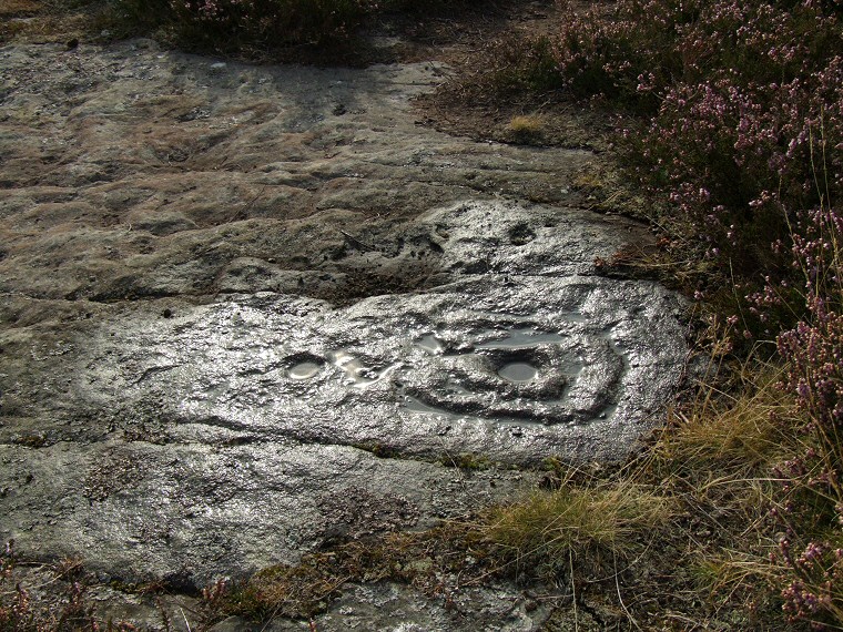 Weetwood Moor 2e