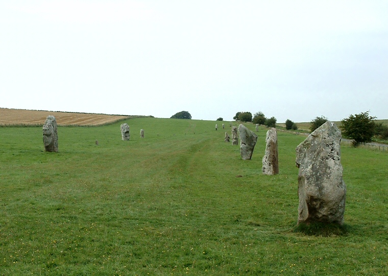 West Kennet Avenue - Looking Northwest