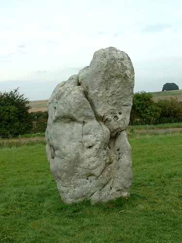 One of the stones of the West Kennet Avenue