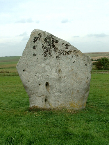 One of the stones of the West Kennet Avenue