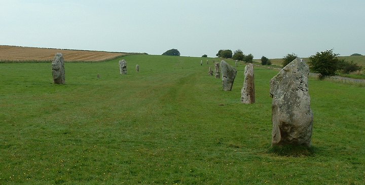West Kennet Avenue - Looking Northwest