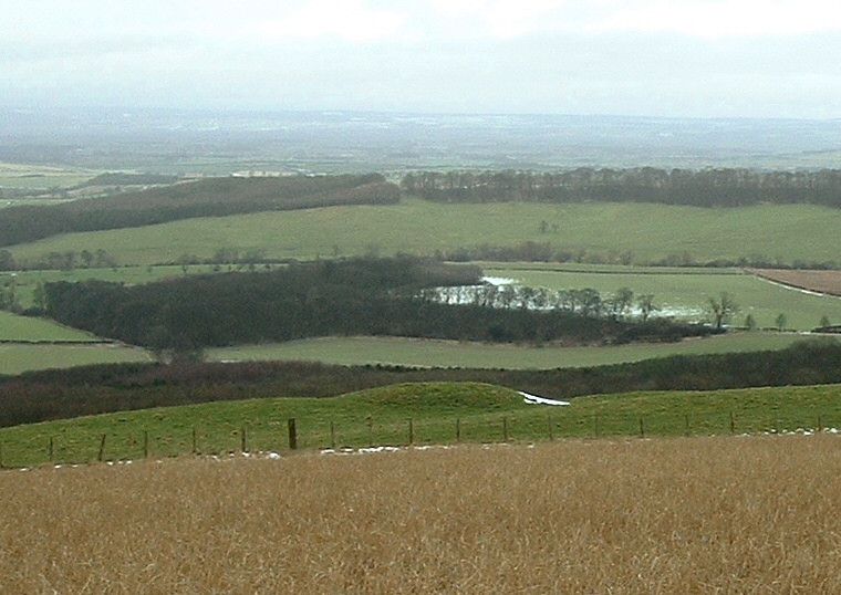 Wharram Percy - Barrow at SE835637