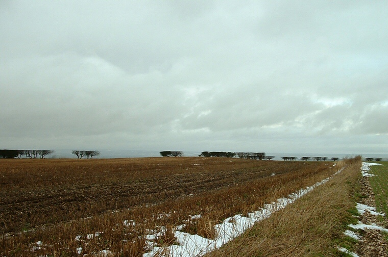 Wharram Percy - Barrow at SE837635