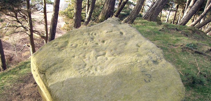 Willy Hall's Wood Stone - close up view of the carvings