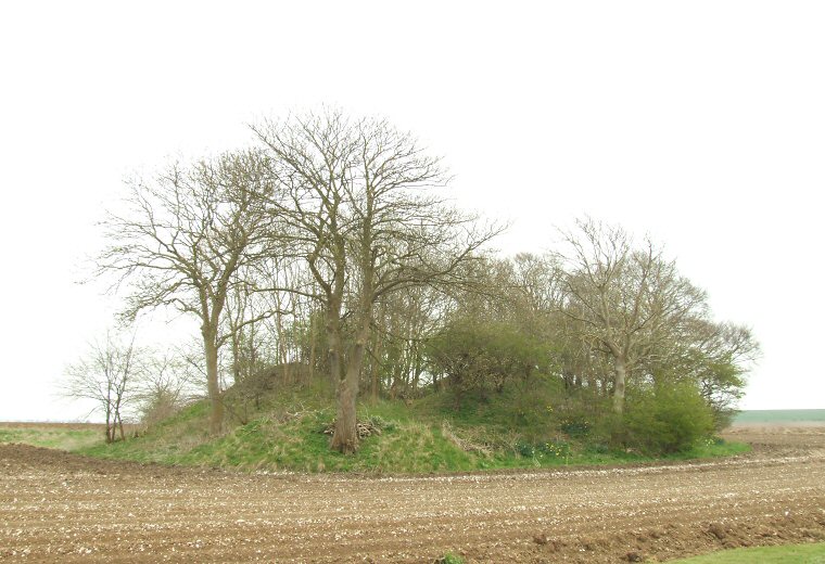 Willie Howe barrow looking southeast