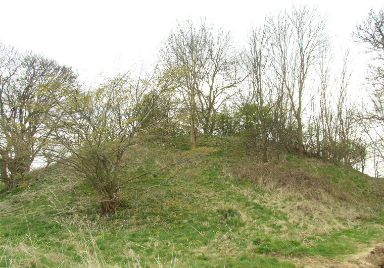 The western side of the mound