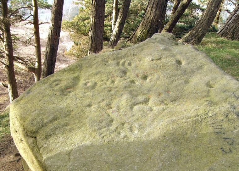 Willy Hall's Wood Stone - close up view of the carvings