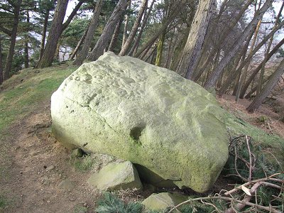 Willy Hall's Wood Stone