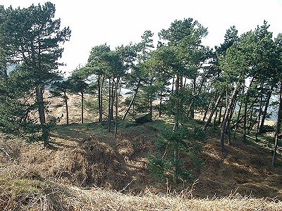 Willy Hall's Wood Stone - looking west