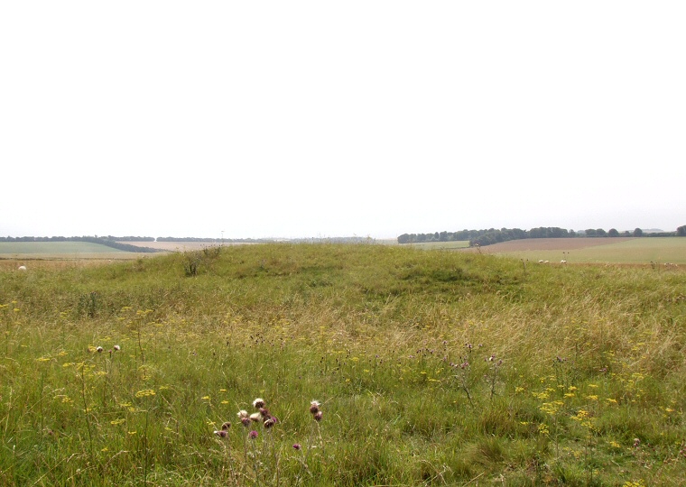 Looking south over Wilsford 30 Long Barrow