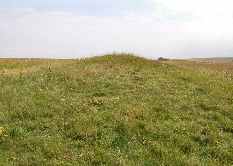 Looking east along the spine of Wilsford 30 Long Barrow