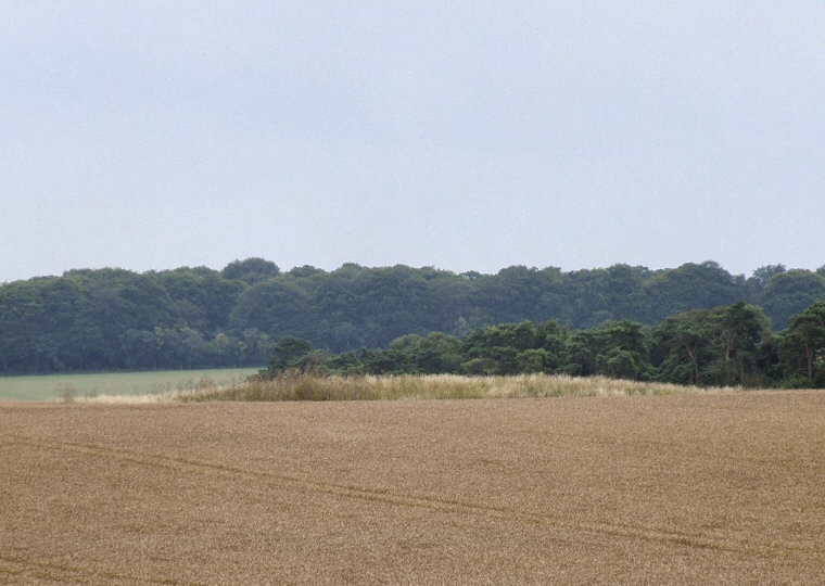 Wilsford 34 Long Barrow