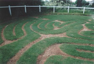 Wing Maze