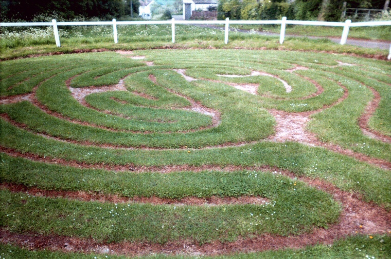 Wing Maze