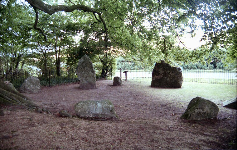 Nine Stones of Winterbourne Abbas