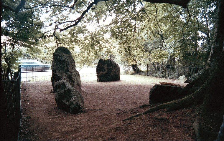 Nine Stones of Winterbourne Abbas