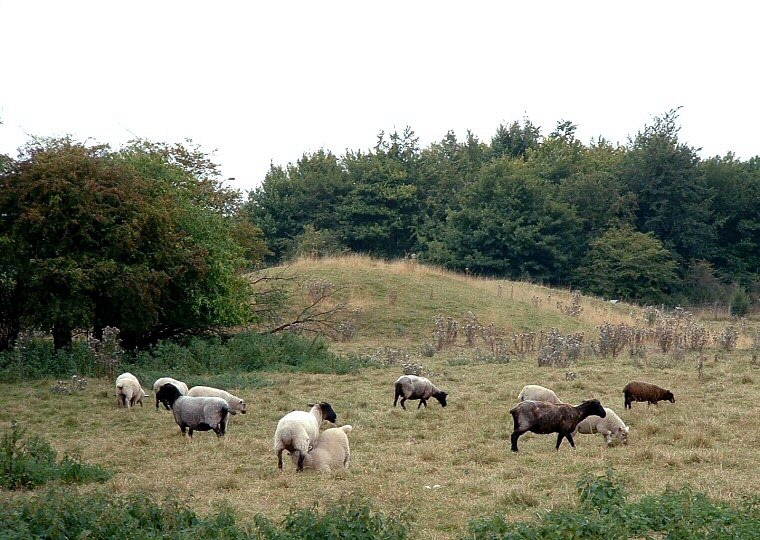 Winterbourne Stoke long barrow