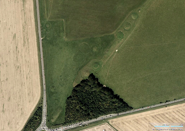 Satellite view of the Winterbourne Stoke barrow group
