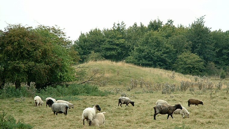Winterbourne Stoke long barrow