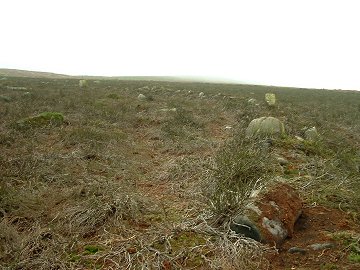 Woofa Enclosure - Boundary wall