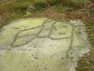 Woofa Enclosure  - Carved stone PRAWR 372